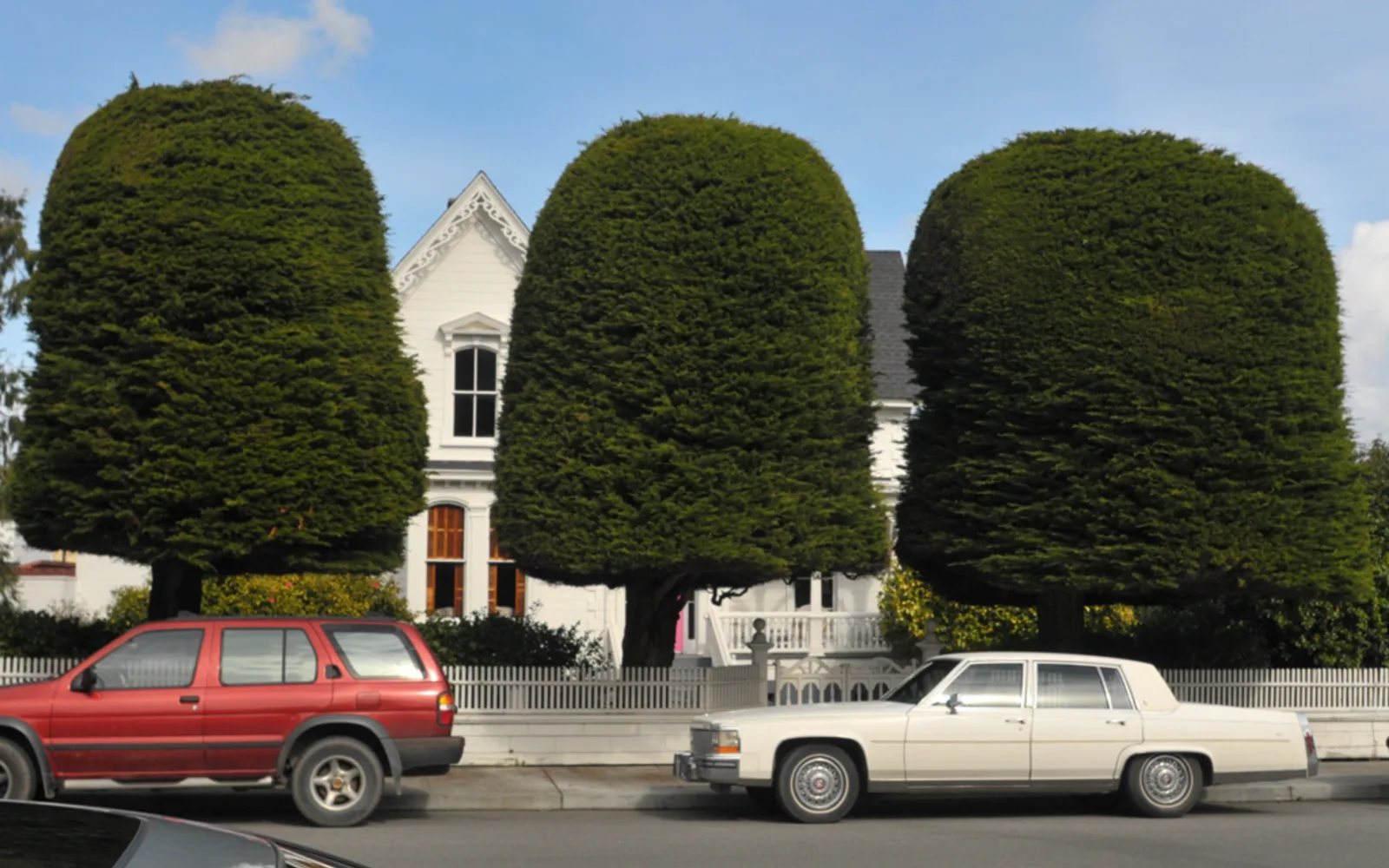 A Victorian-era residential property in Ferndale, California with distinctive trimmed Cypress gum drop trees and established neighborhood landscaping